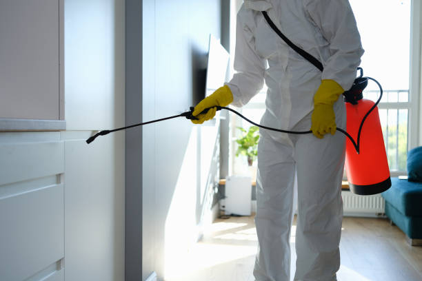 Best Mold Testing  in Beloit, KS