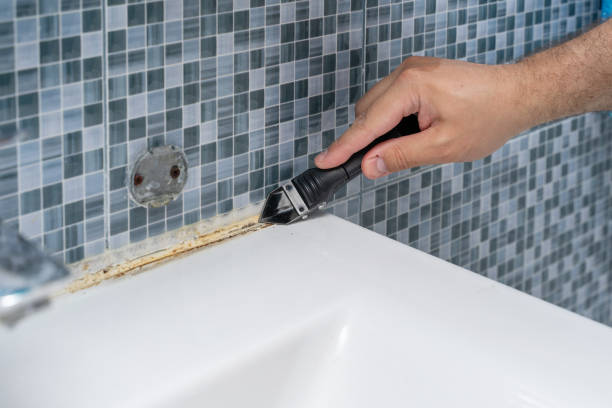 Best Local Mold Removal Service  in Beloit, KS