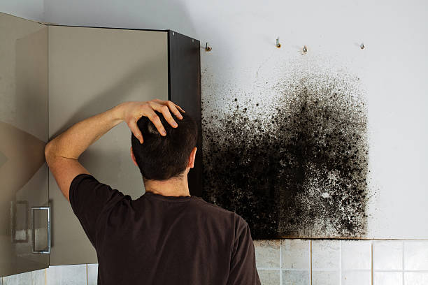 Best Water Damage Restoration  in Beloit, KS